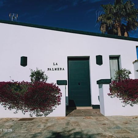 Casa La Palmera - Solo Familias Y Parejas Conil De La Frontera Exterior foto