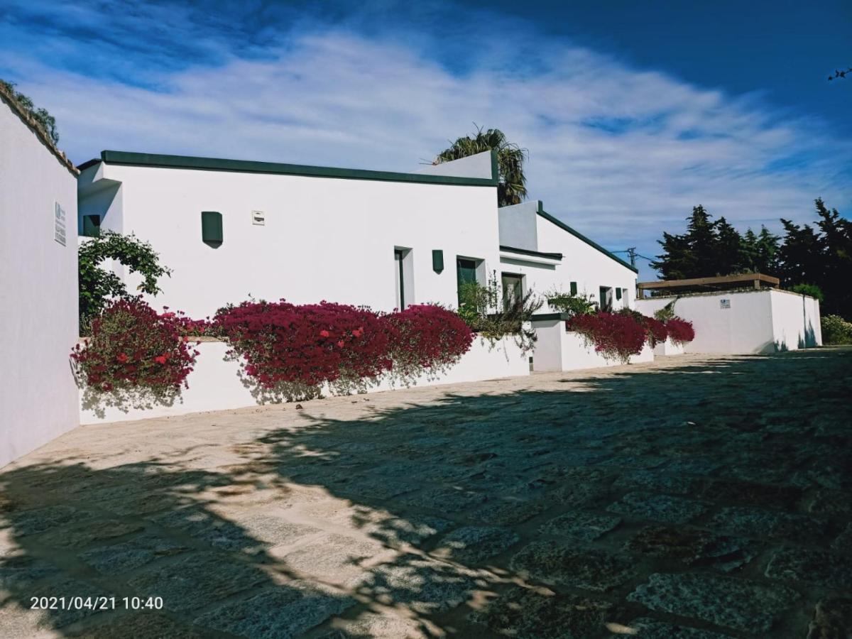 Casa La Palmera - Solo Familias Y Parejas Conil De La Frontera Exterior foto